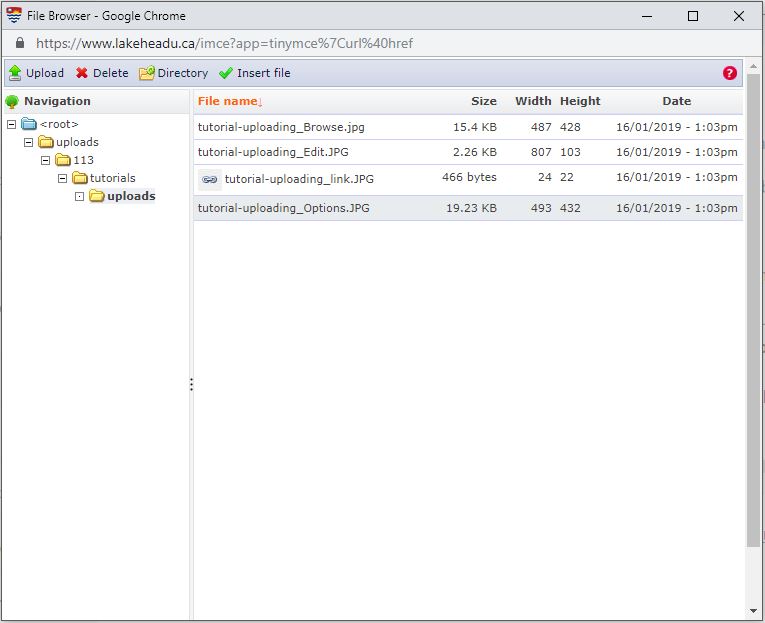 A screenshot of the File Browser. It is a multiple-pane menu with navigation on the left, and files on the right.