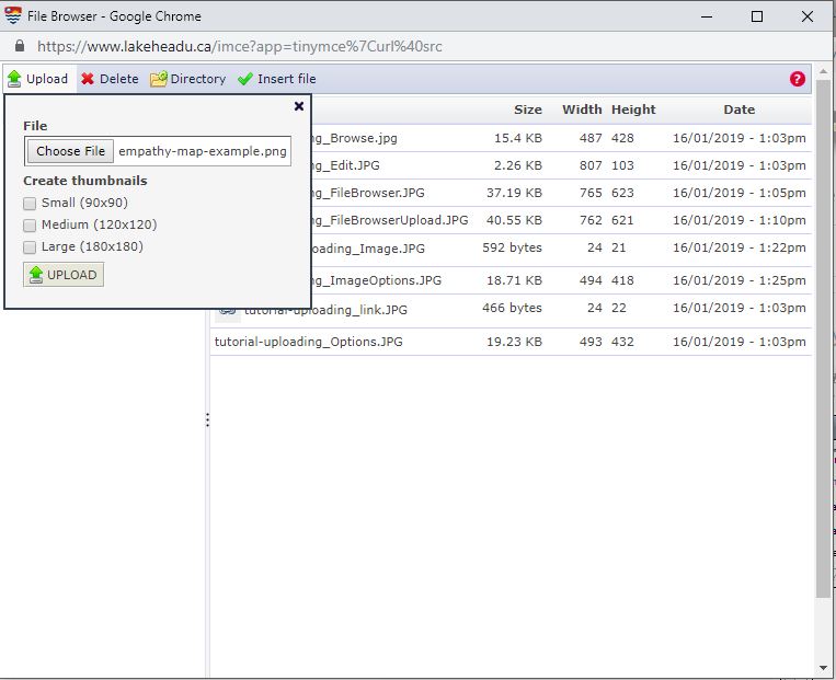 A screenshot of the Image Browser during upload. In addition to it's panel like menu, it now also features an upload file area.