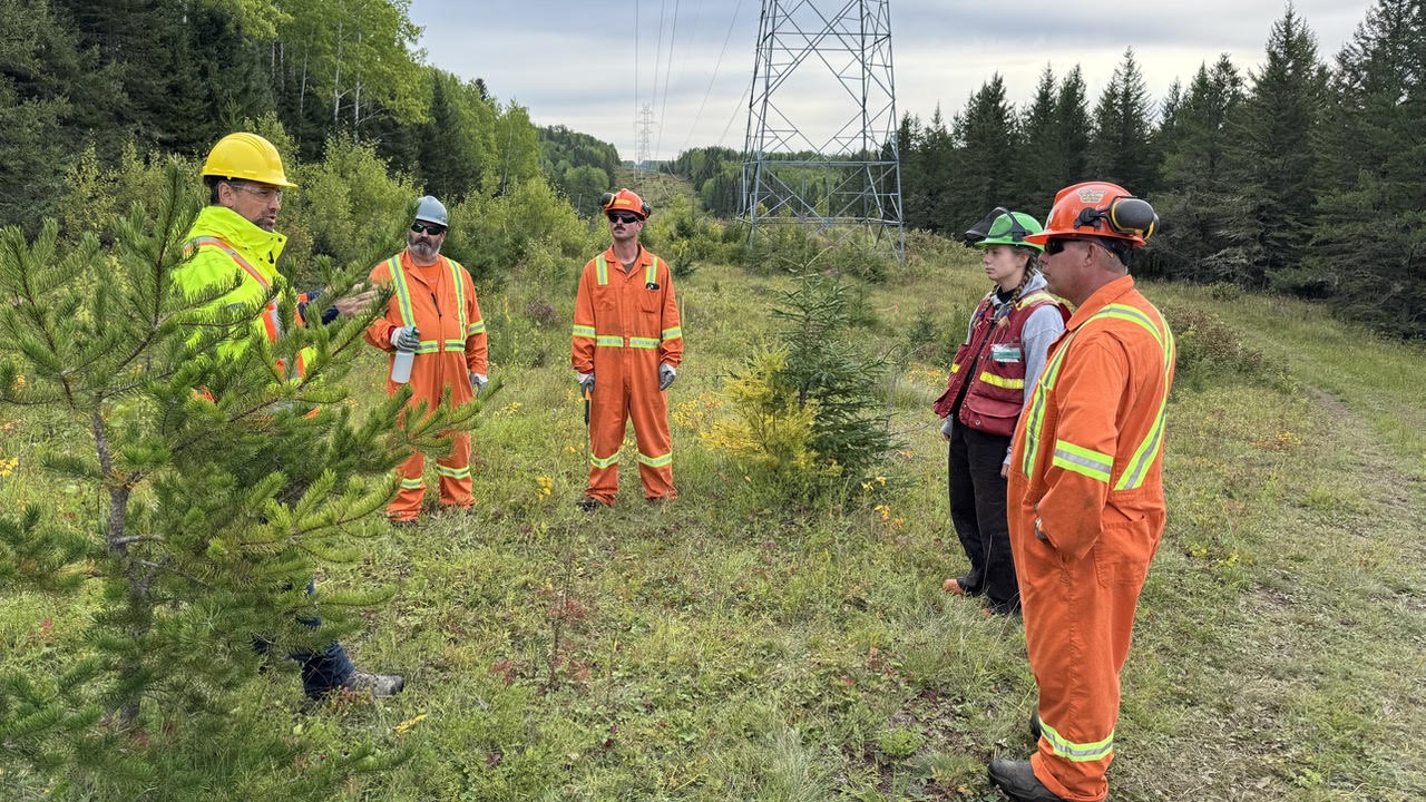 Hydro One and Lakehead University Hydro One and Lakehead University