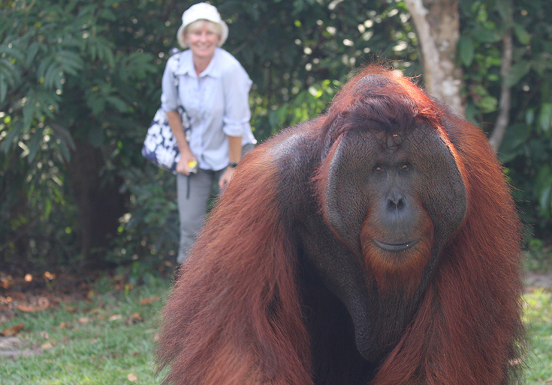 Jennifer and an Orangutan