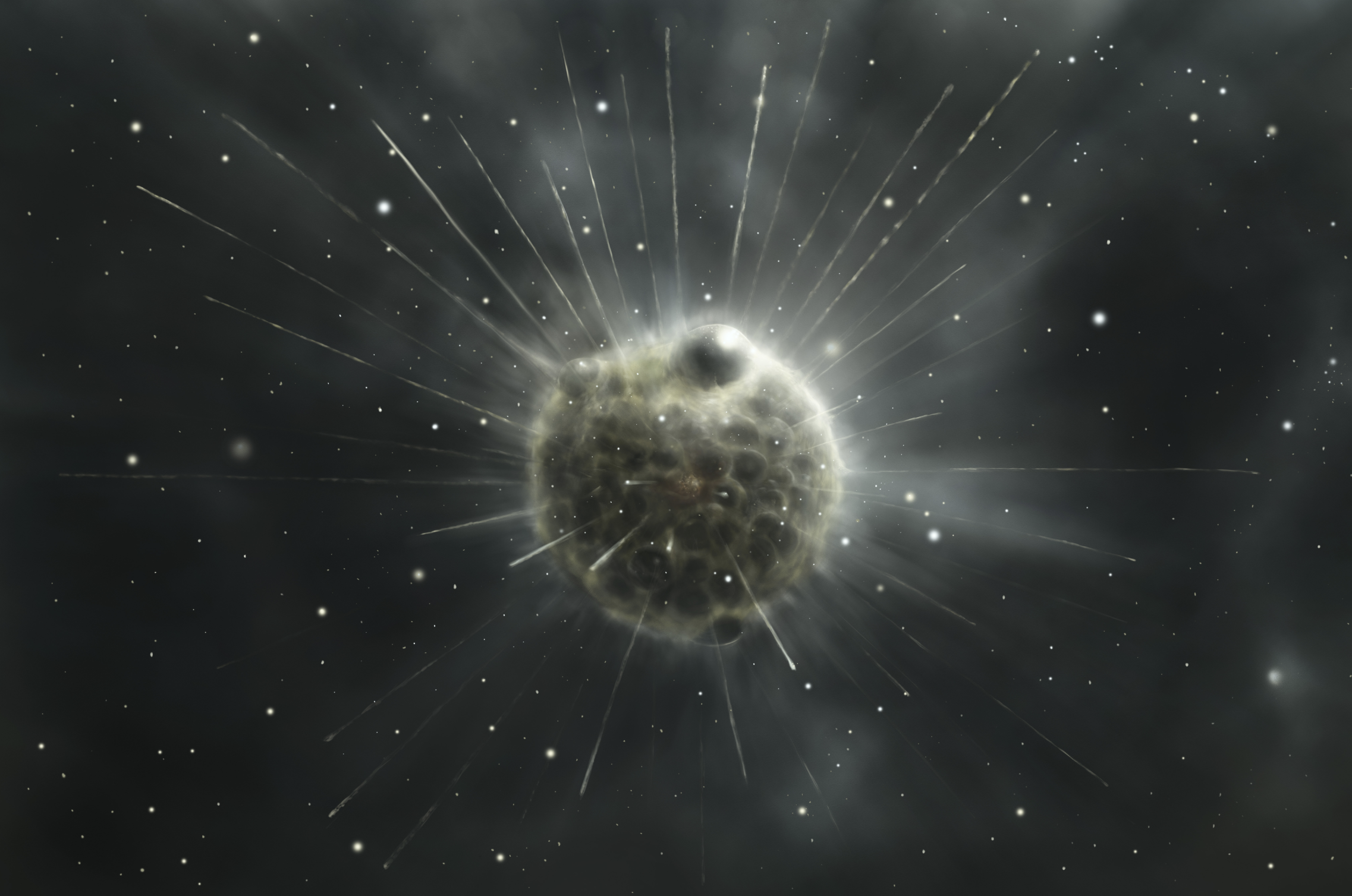An illustration of a round protozoa with a bumpy surface and thin rays extending from it against a black background