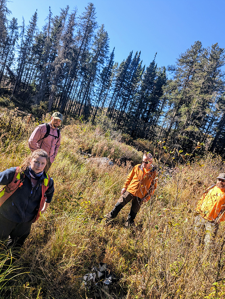 Lakehead researchers standing in a small wetland area spanning between a recently harvested forest and a headwater stream off HWY 527