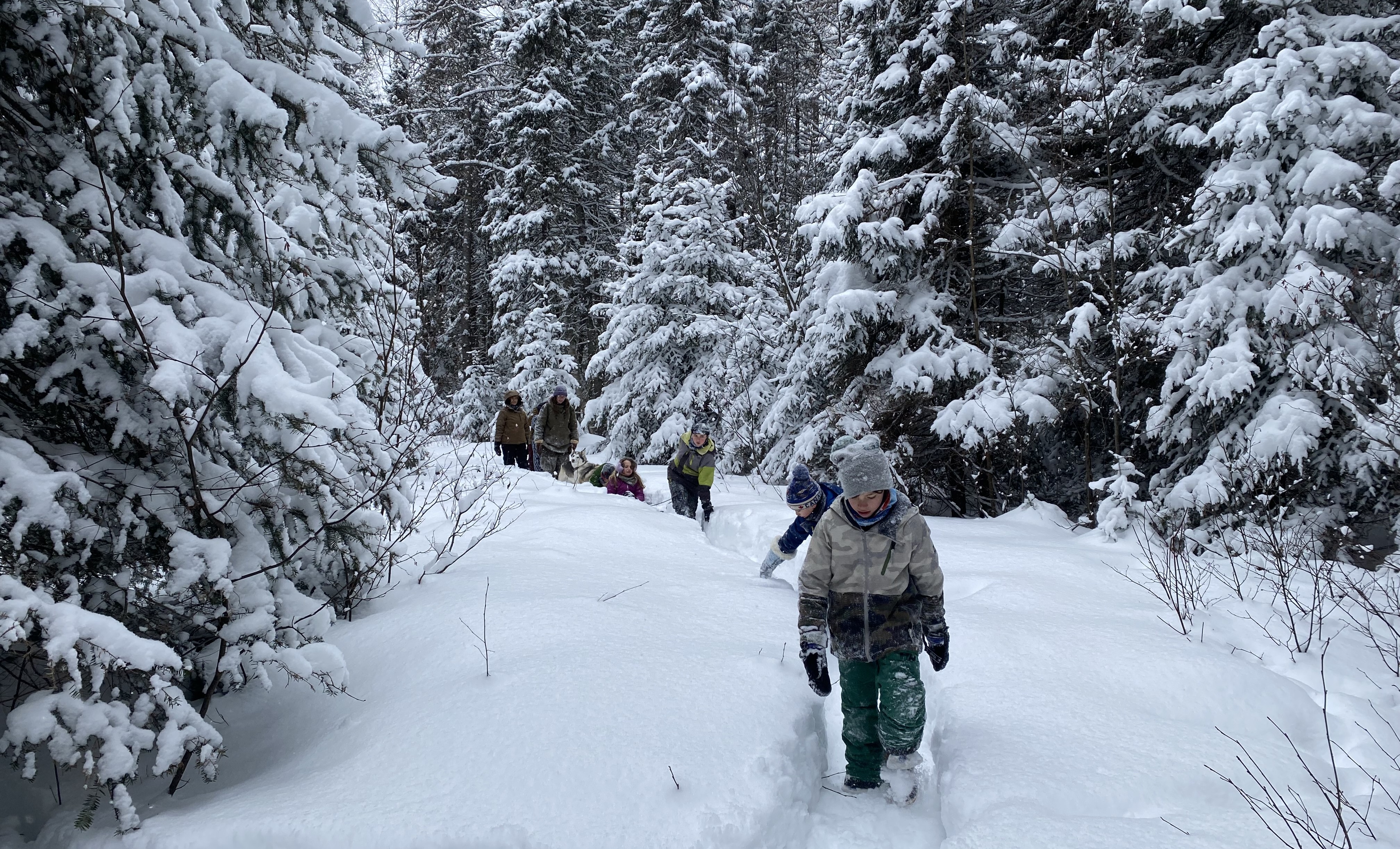 Students on a Forest School Outing