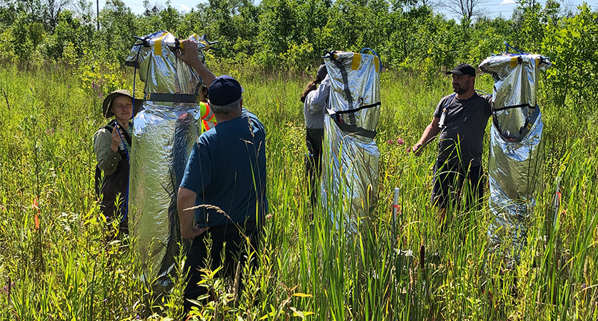 Students and faculty installing equipment to measure wetland greenhouse gas emissions at Cawthra Mulock, a newly constructed wetland near Newmarket.