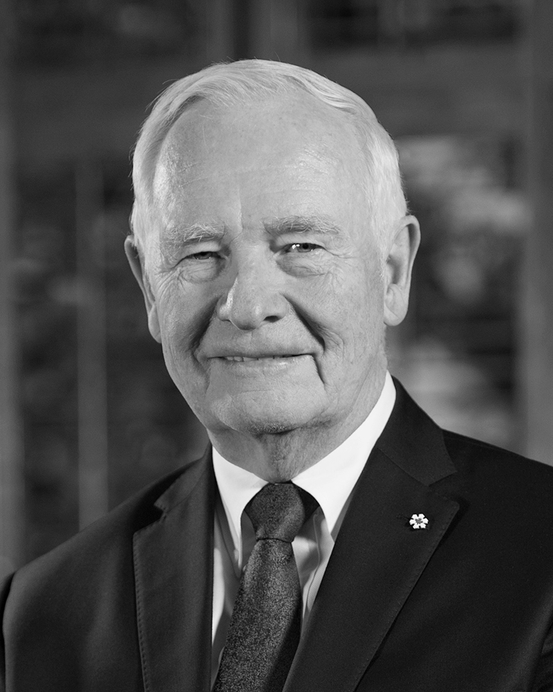 Right Honourable David Johnston