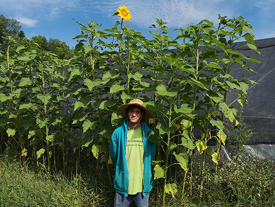 Jacob Kearey Moreland stands in front of a crop of sunflowers on his farm in Oro Medonte