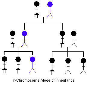 Y-Chromosome Mode of Inheritance