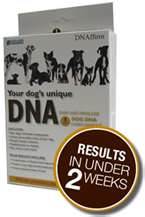 A picture of a canine breed identification kit from DNA My Dog