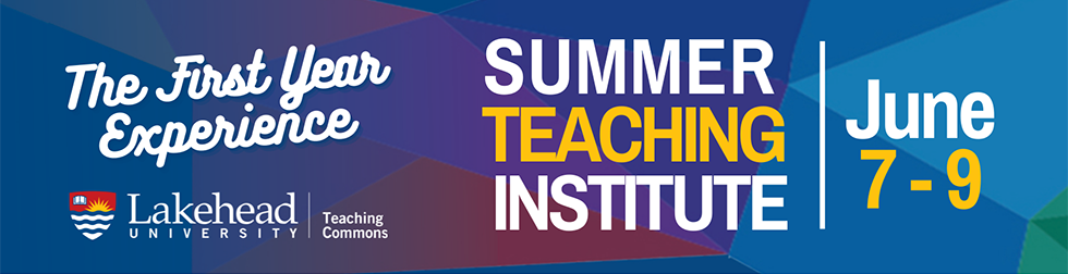 Summer Teaching Institute Banner
