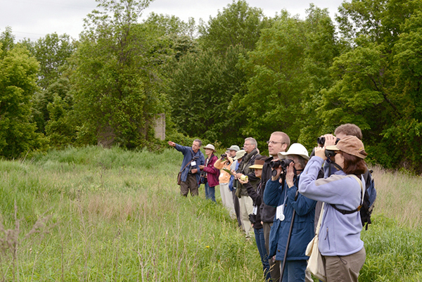Getting out into the field will be part of the fall workshops offered by the Ontario Master Naturalist Program (OMNP) at Lakehead University this fall. All workshops are open to the public and are separate from the OMNP certificate program. Photo: Ontario Nature