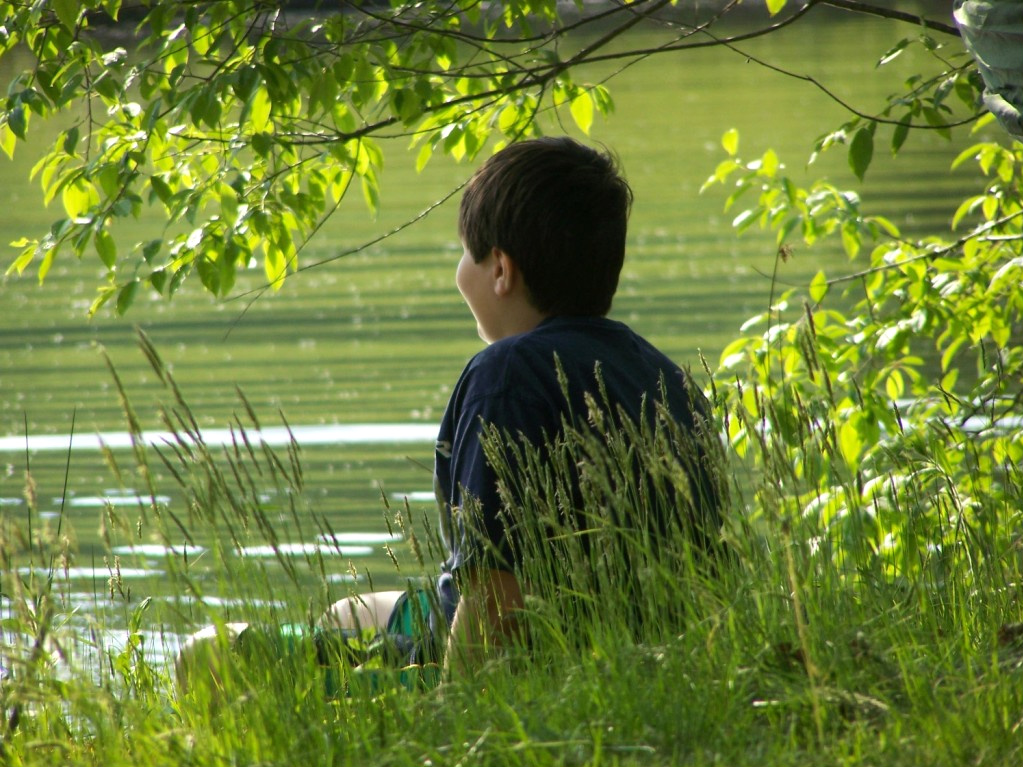 A child sitting on a river bank under a tree on a beautiful day