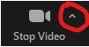 stop video