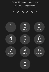 screenshot of Apple iPhone passcode screen