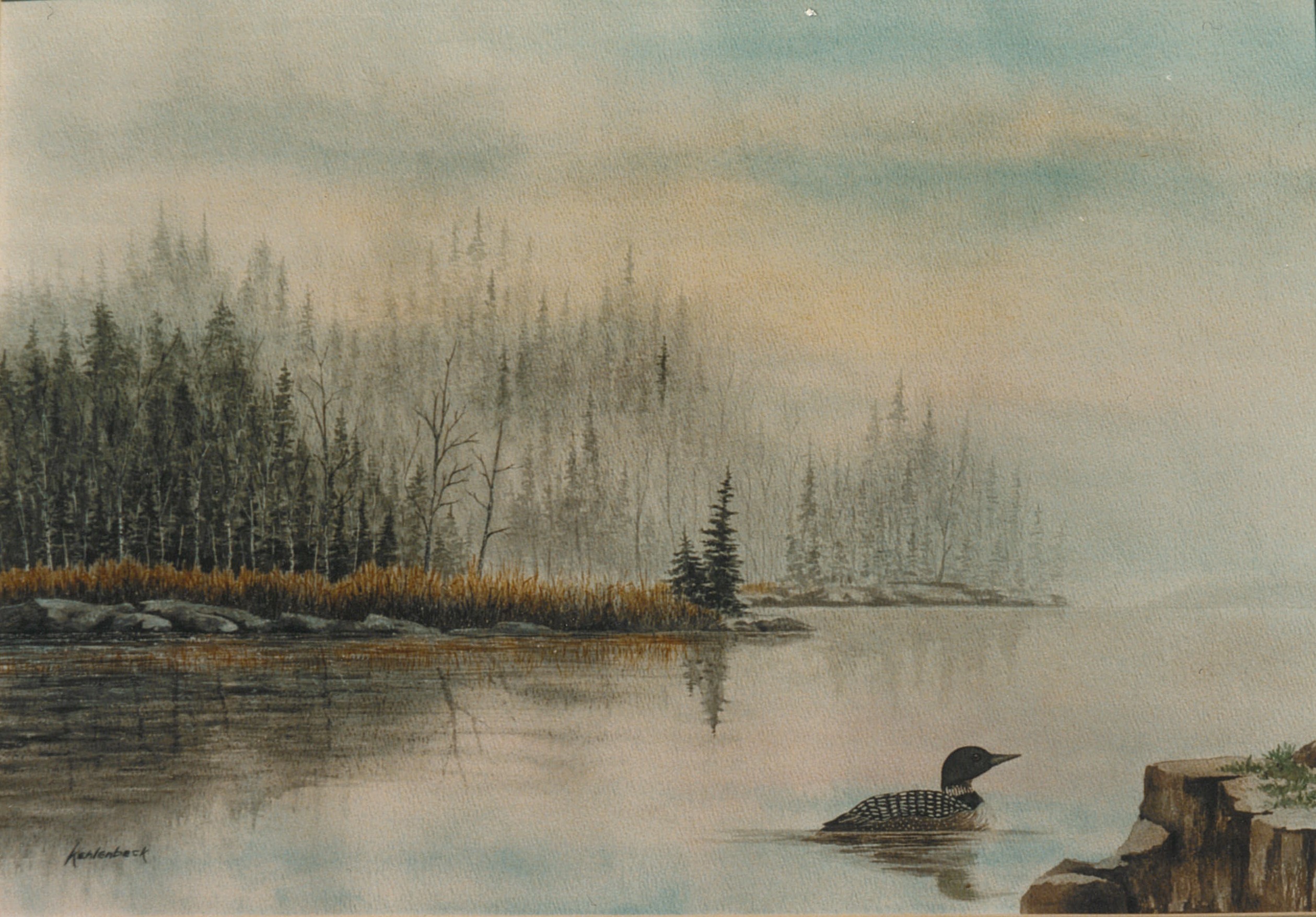 Loon Swimming A painting of a loon swimming in a calm lake
