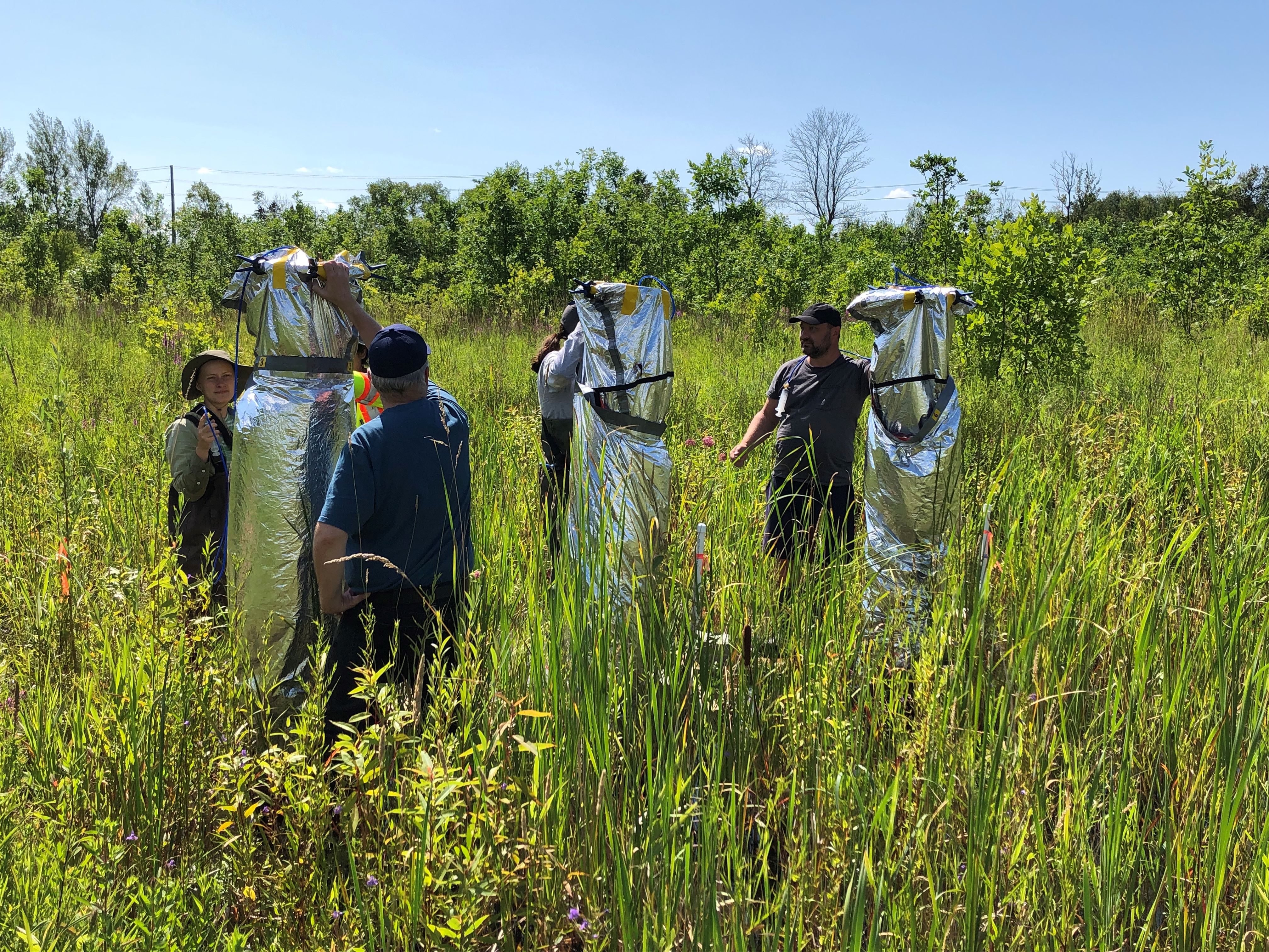 Researchers in a wetland gather scientific data using foil bags