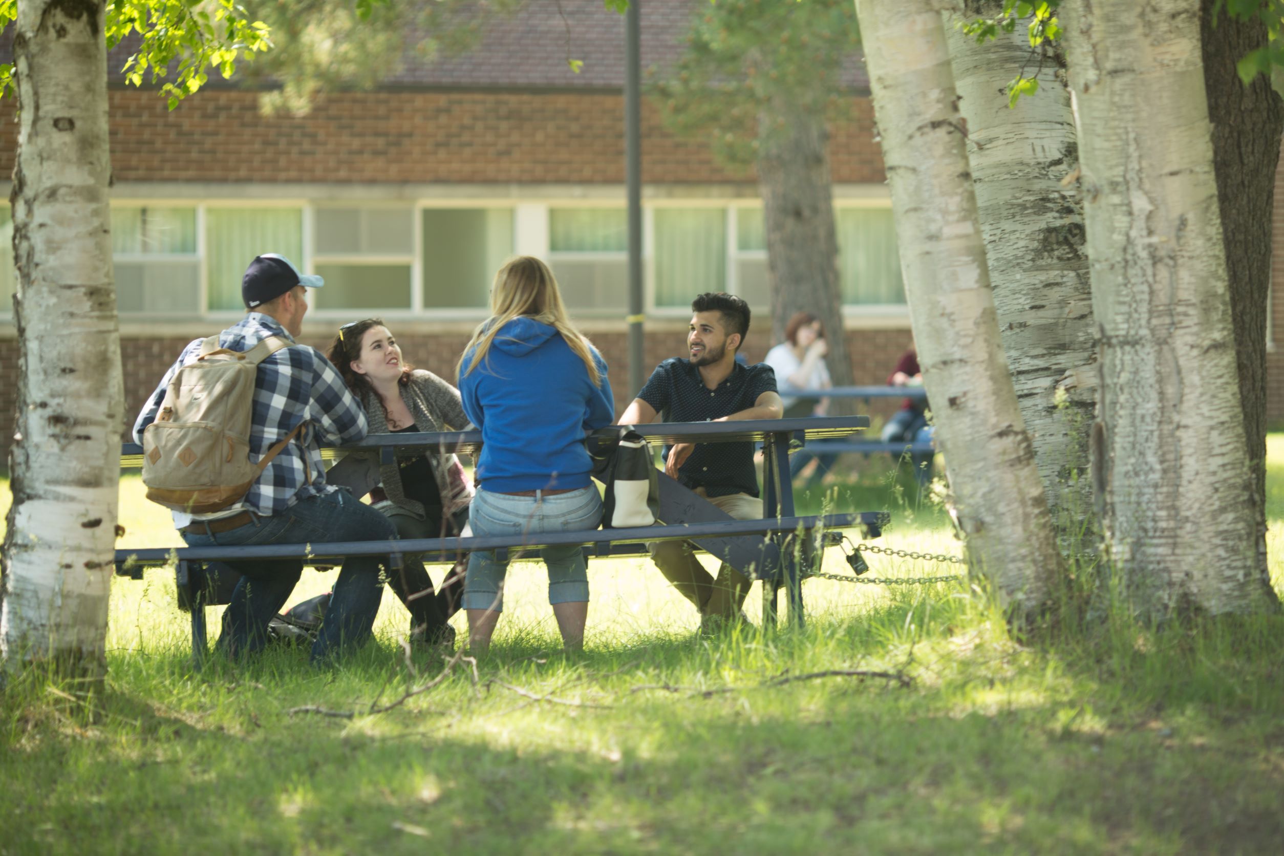 Usama and three students at picnic stable on the Lakehead campus