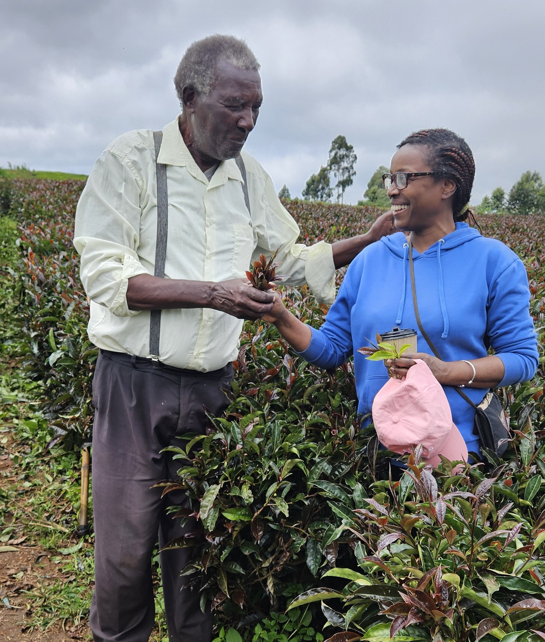 An older man and Dr. Anna Kone stand in a tea field as the older man gives Dr. Kone a handful of tea leaves