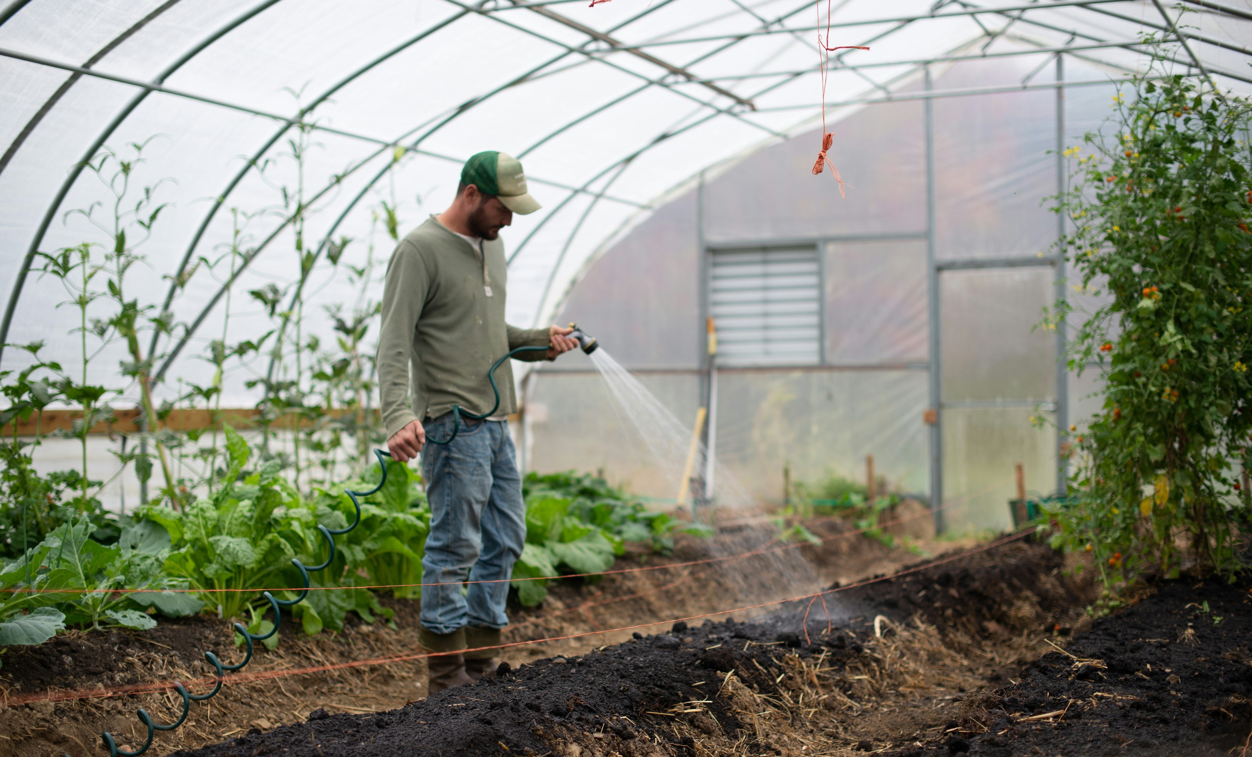 A bearded man wearing a baseball cap, long-sleeved shirt, and jeans stands inside a greenhouse spraying water from a hose on a row of soil