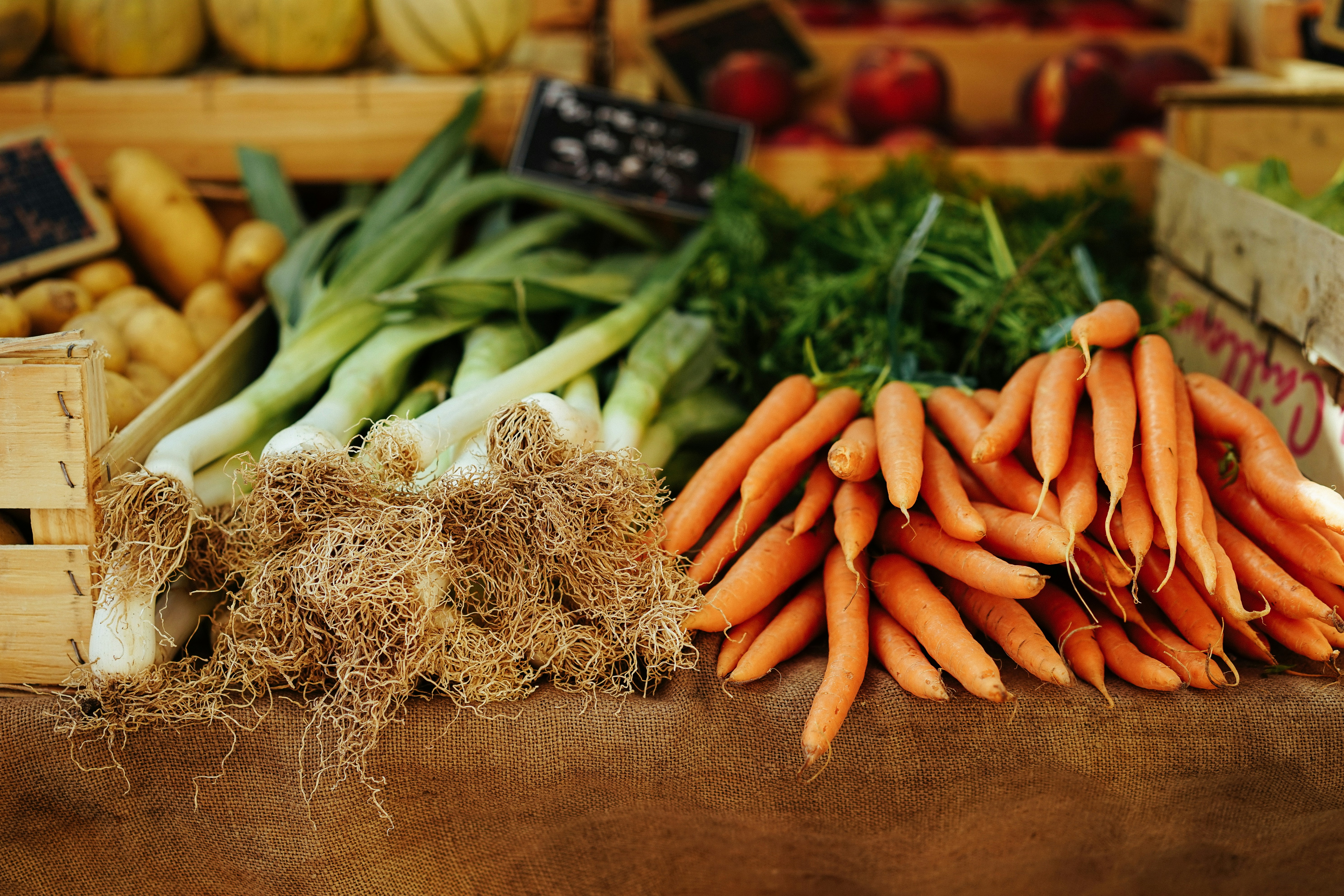 Fresh leeks, carrots, and other vegetables displayed on a table and on shelves