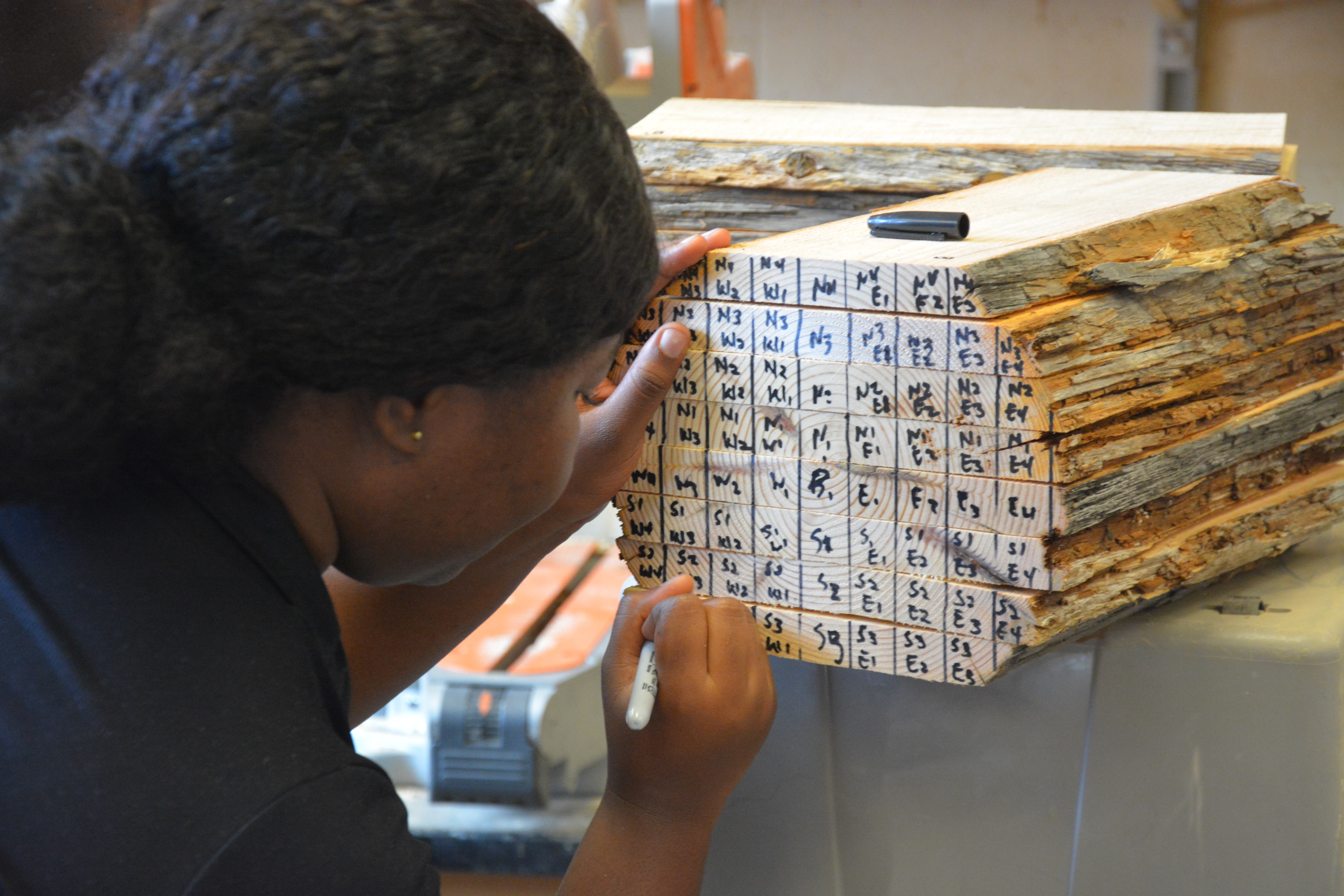 A woman labels sections of lumber with a black marker