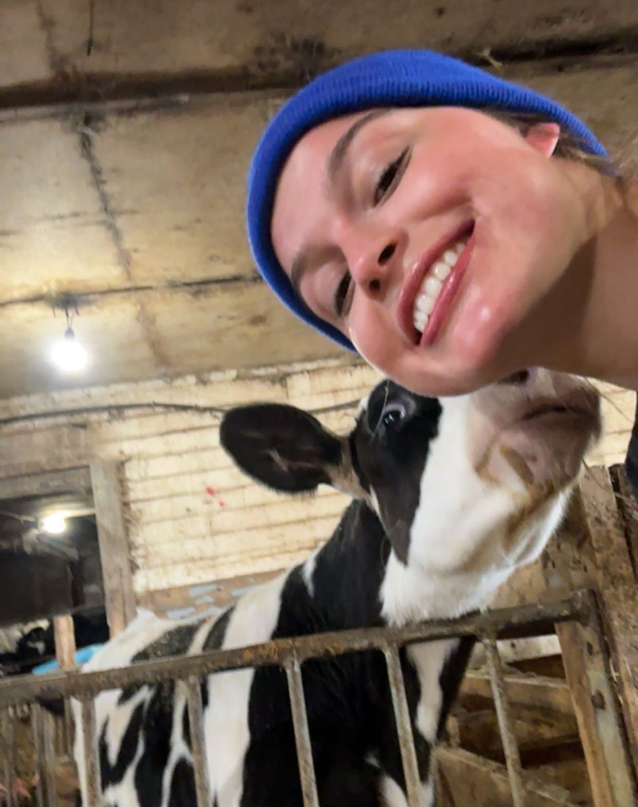 Hope Grootenboer, in a barn, leans her head towards a black-and-white calf as it lifts its head towards her neck