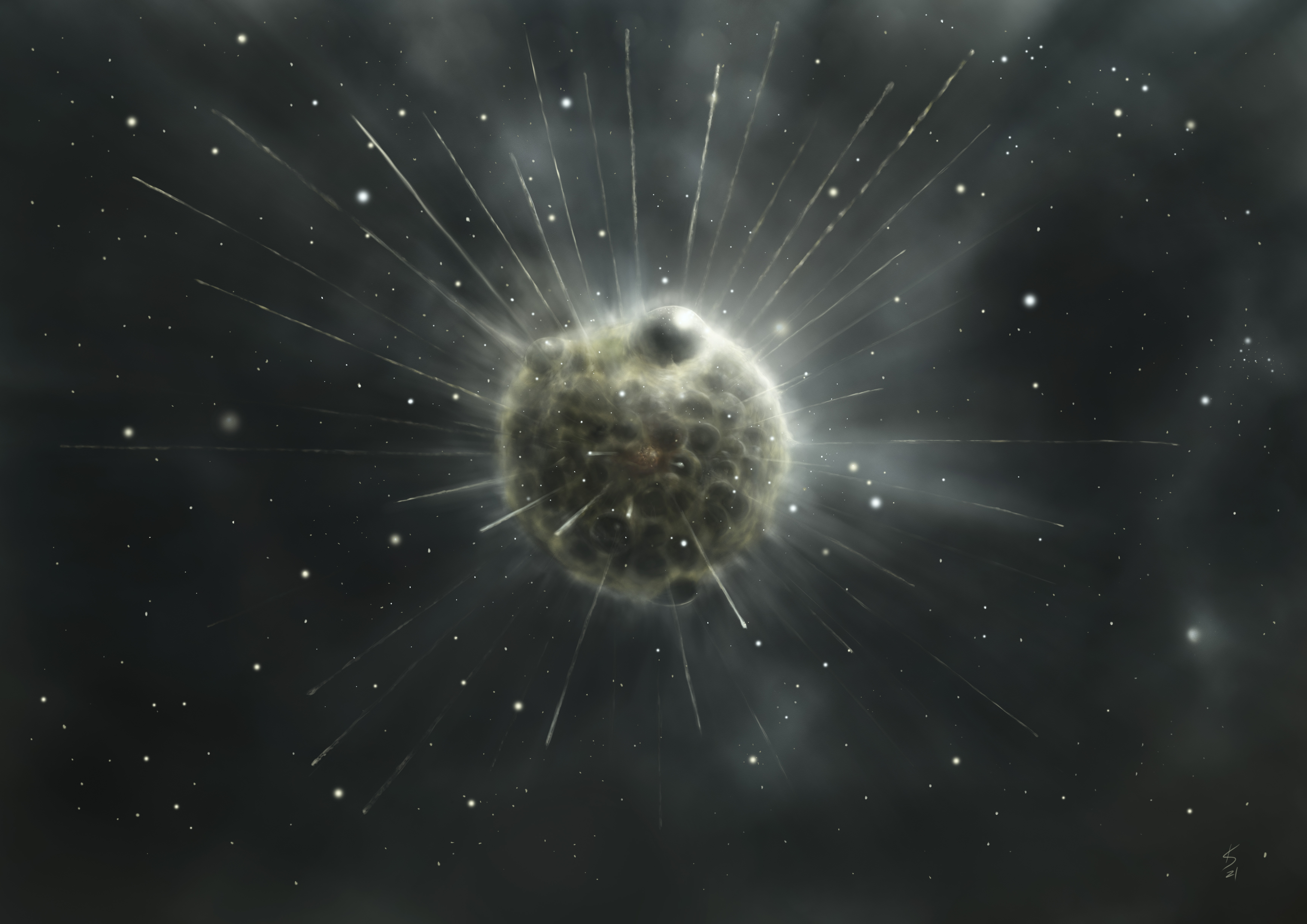 An illustration of a round protozoa with a bumpy surface and thin rays extending from it against a black background Heliozoan Protozoa Illustration