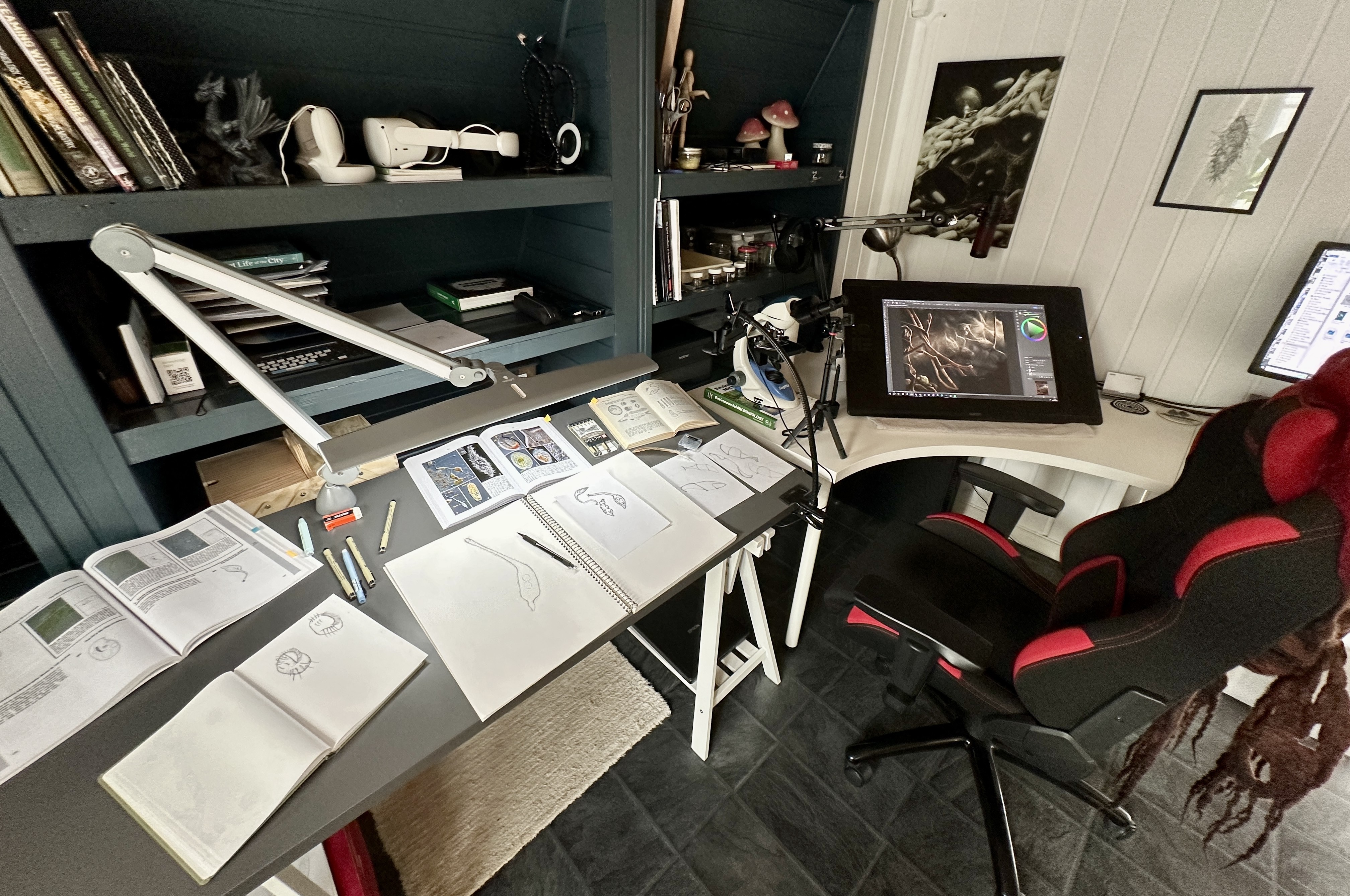 Kate Solbakk Art Studio A desk with computer displaying a microscopy illustration stands beside a drafting table covered with open sketchbooks and books with drawings of protozoa; a bookcase stands behind the desks