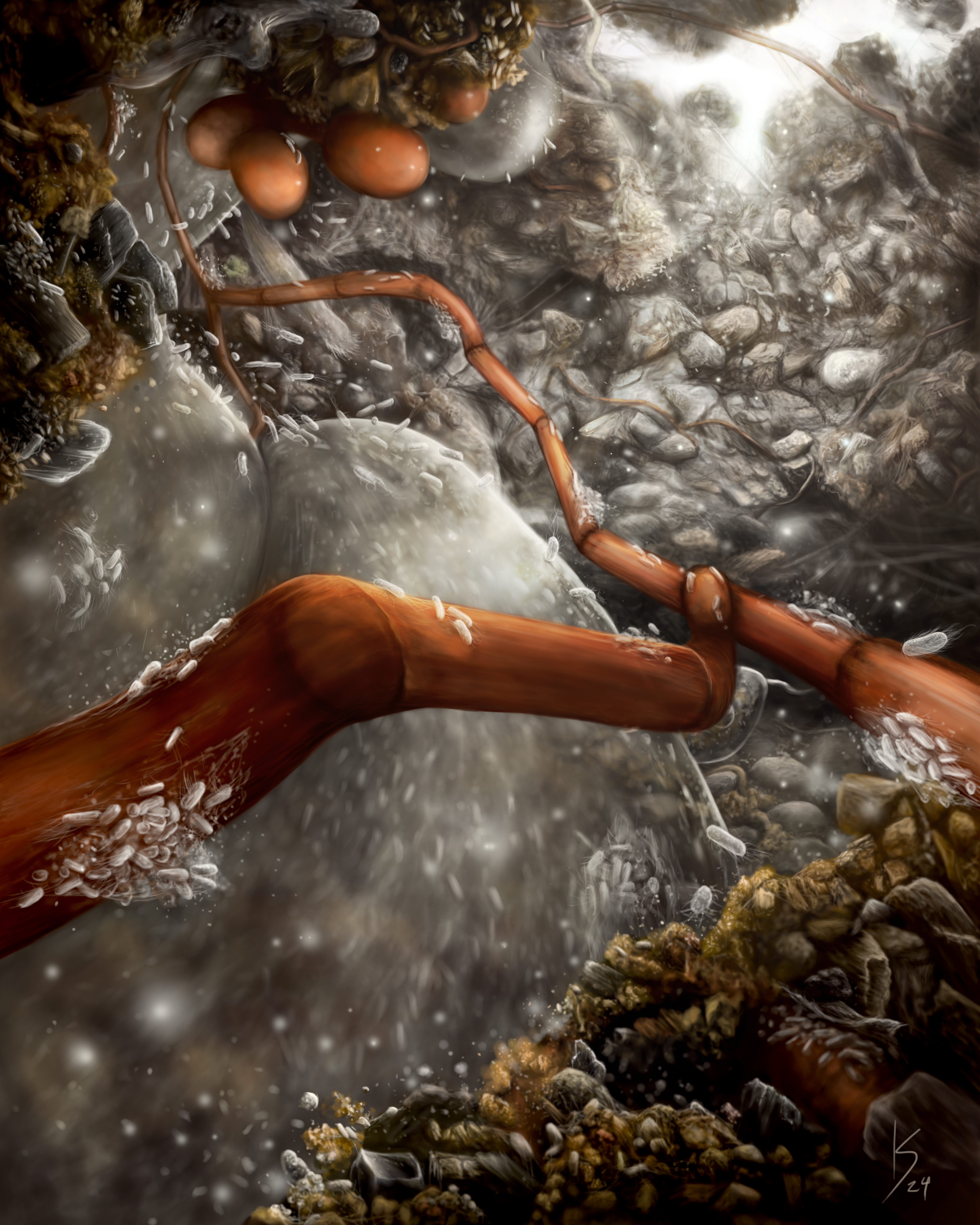 Soil Factory Illustration An intricate illustration of soil, roots, and microscopic organisms