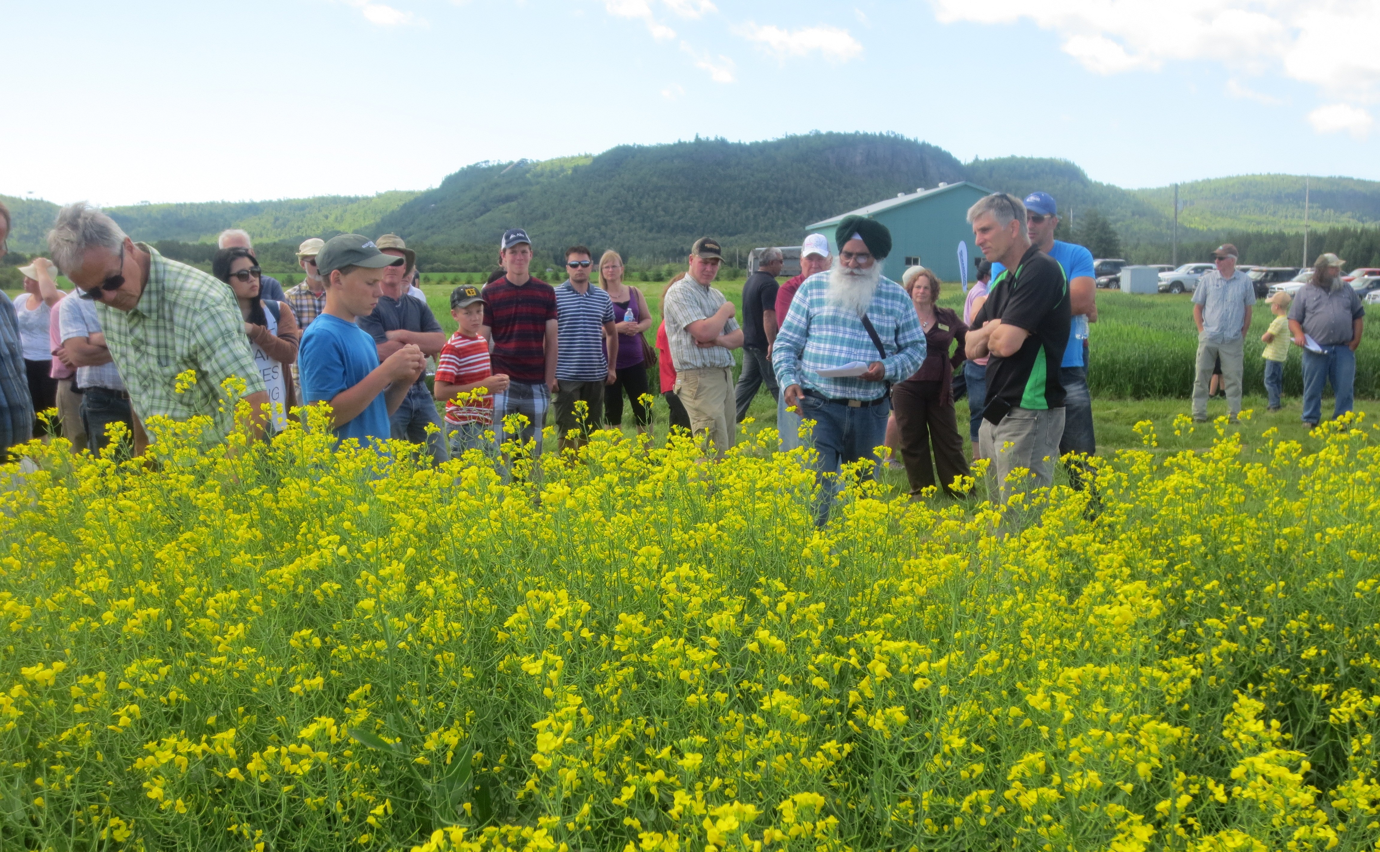 Dr. Tarlok Singh Sahota, holding sheets of paper, stands in front of canola plants with yellow flowers; a large group of casually dressed people surround him and mountains are visible in the distance