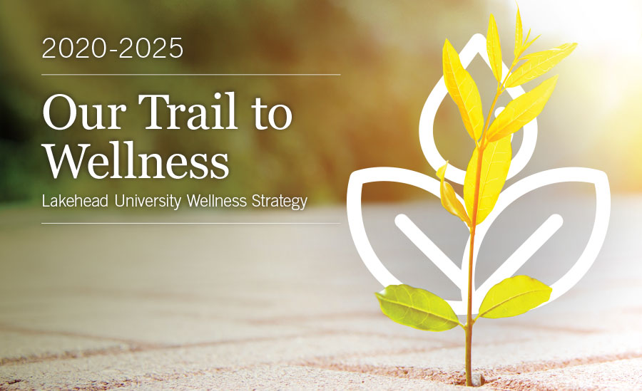 Image of plant growing between paving stones on the cover of Lakehead University's Wellness Strategy