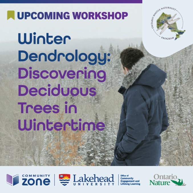 Winter Dendrology poster