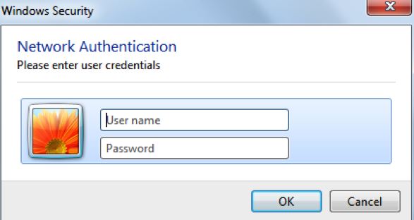 Enter your myinfo or myemail credentials