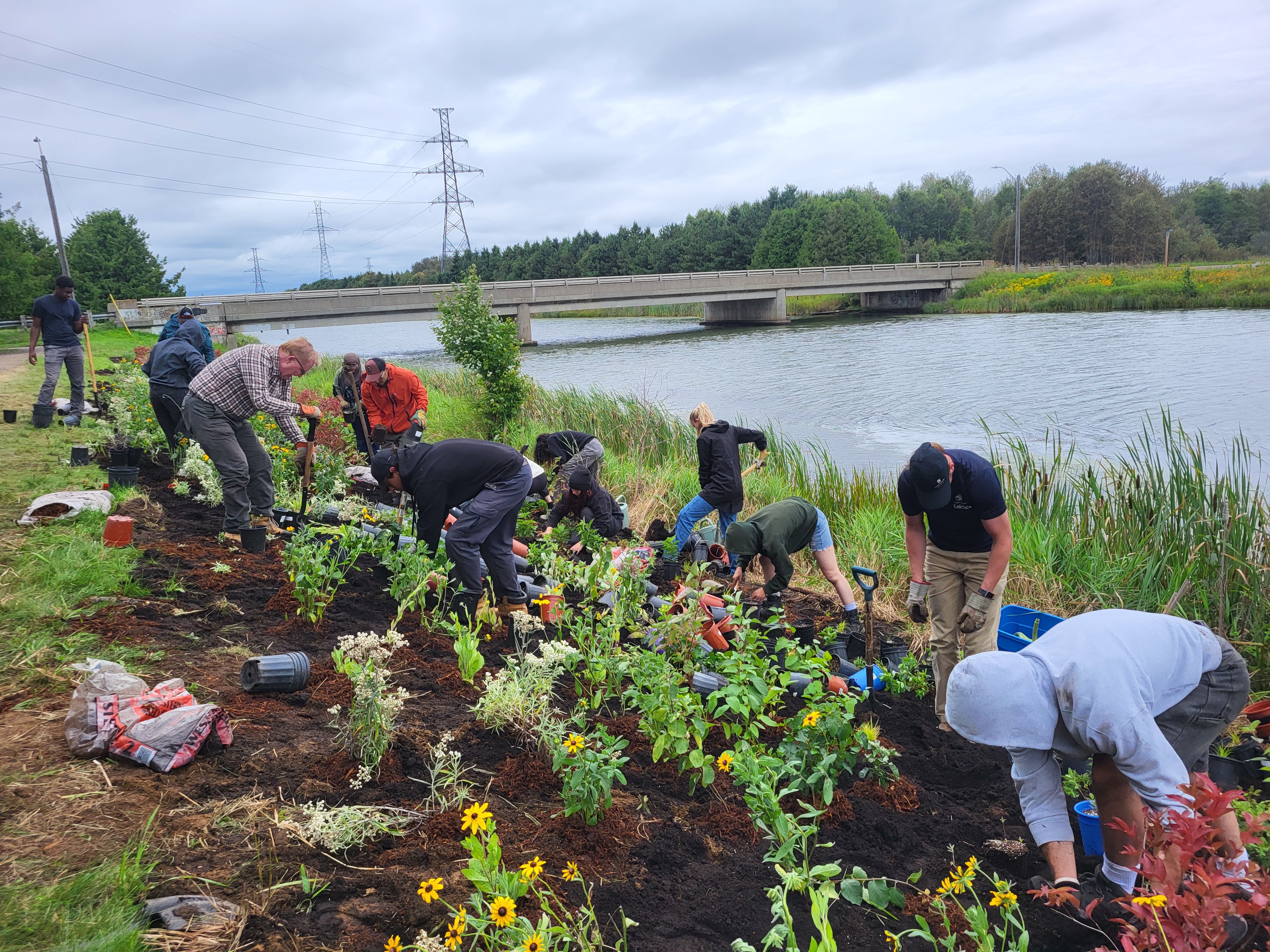 Forestry and Environmental Management Students Support Neebing-McIntyre Floodway Planting