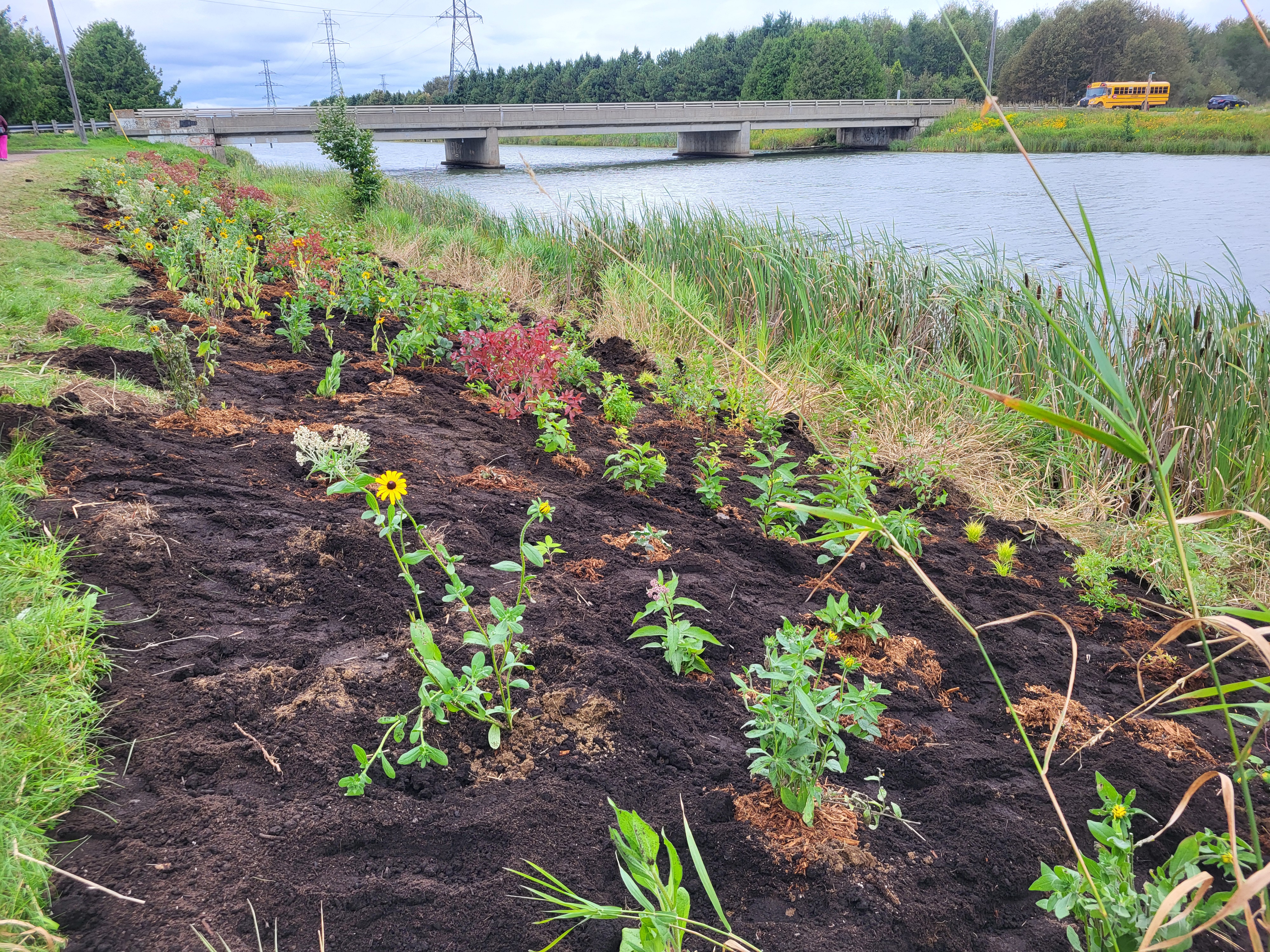 Forestry and Environmental Management Students Support Neebing-McIntyre Floodway Planting