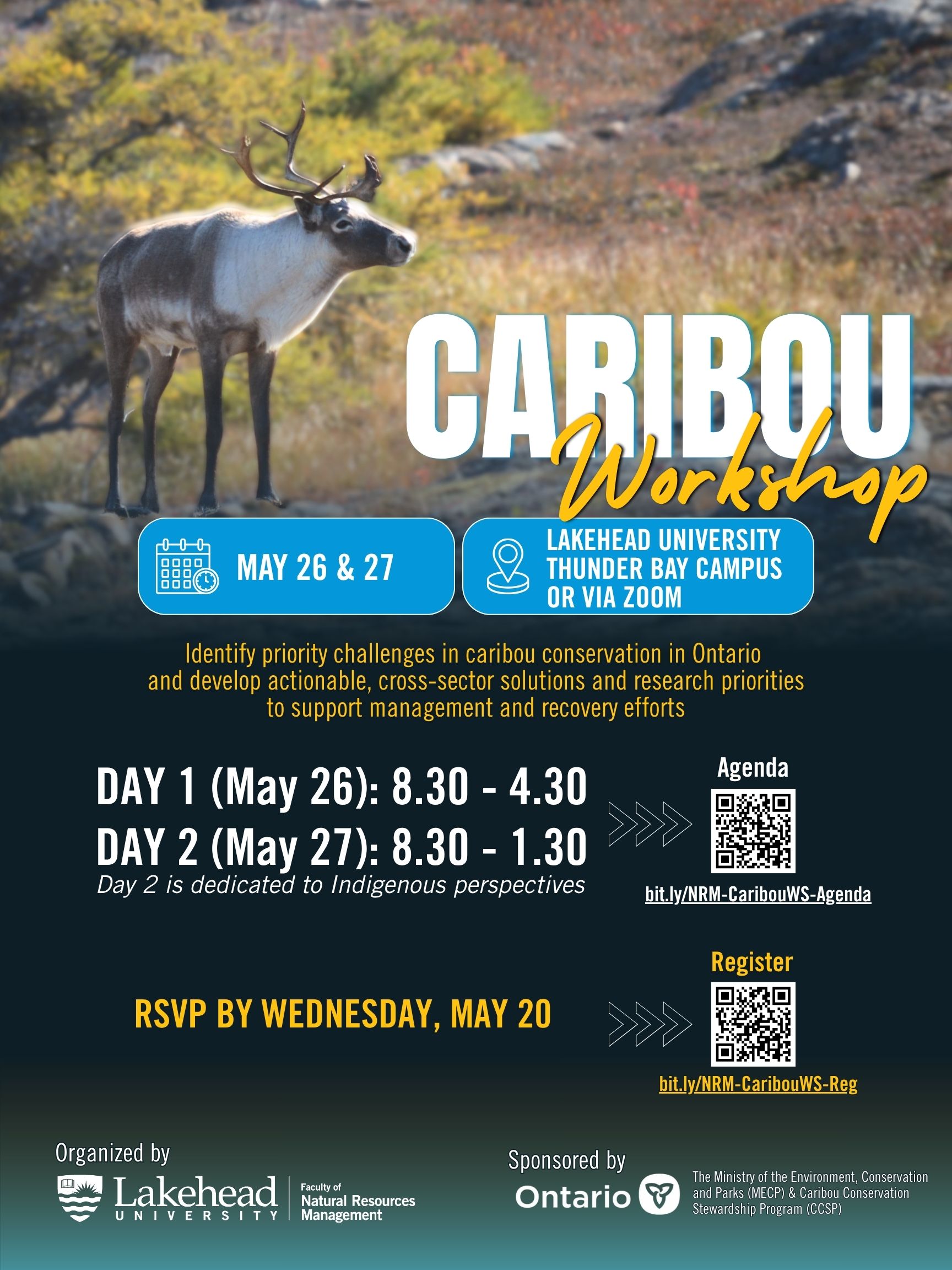 Caribou Workshop