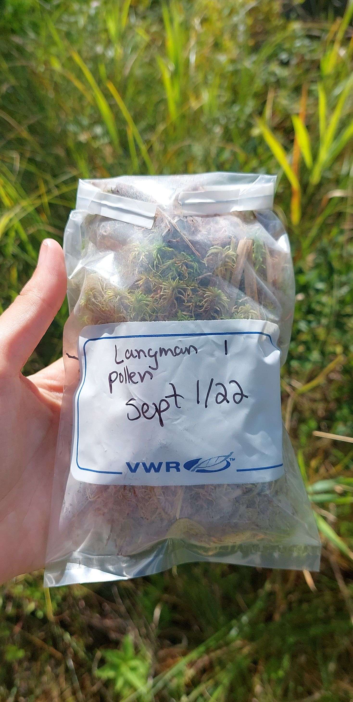 A sample bag containing sphagnum moss from Langman - Photo by Lily E.