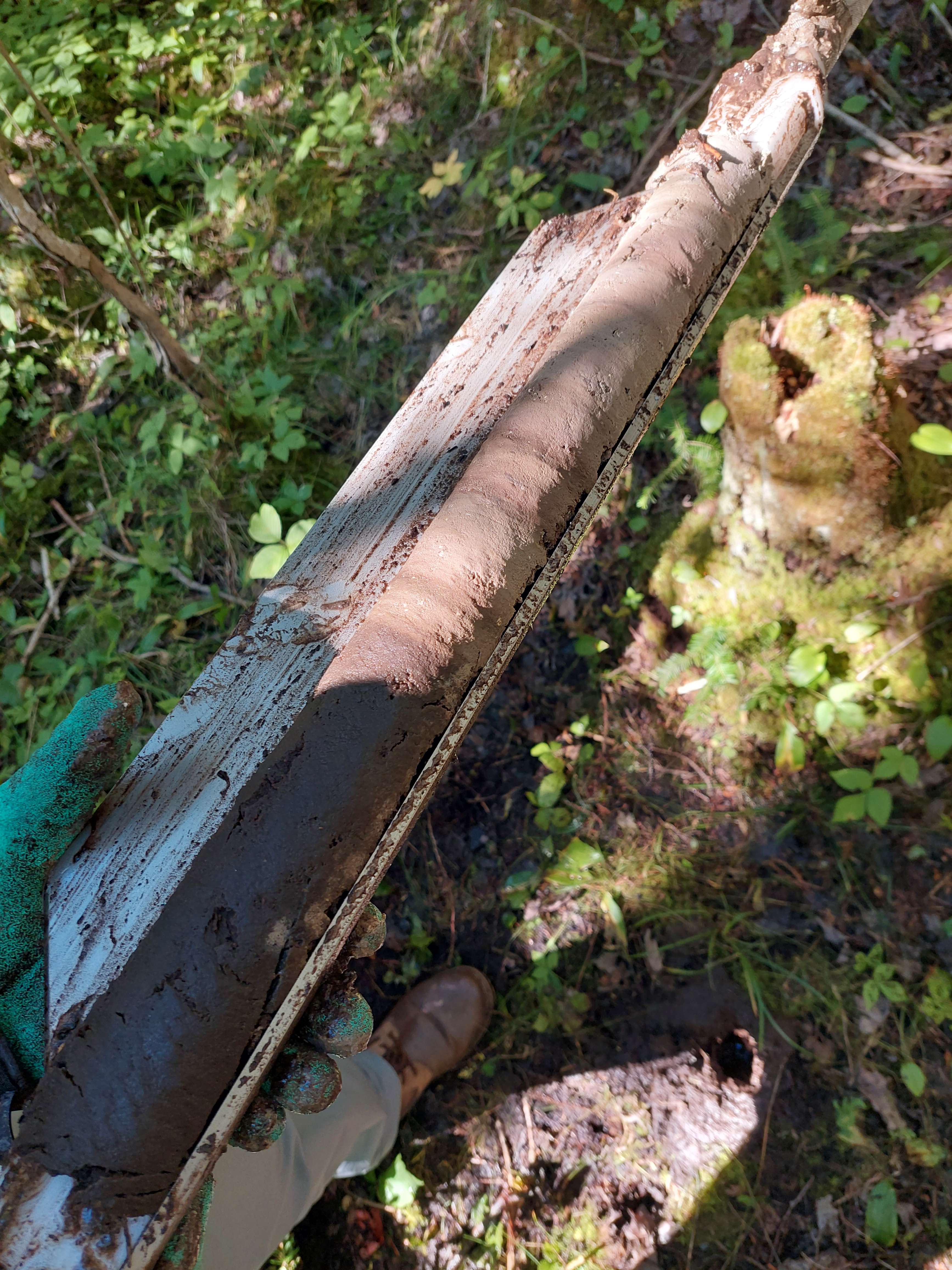 A part of a sediment core from Langman - Photo by Lily E.