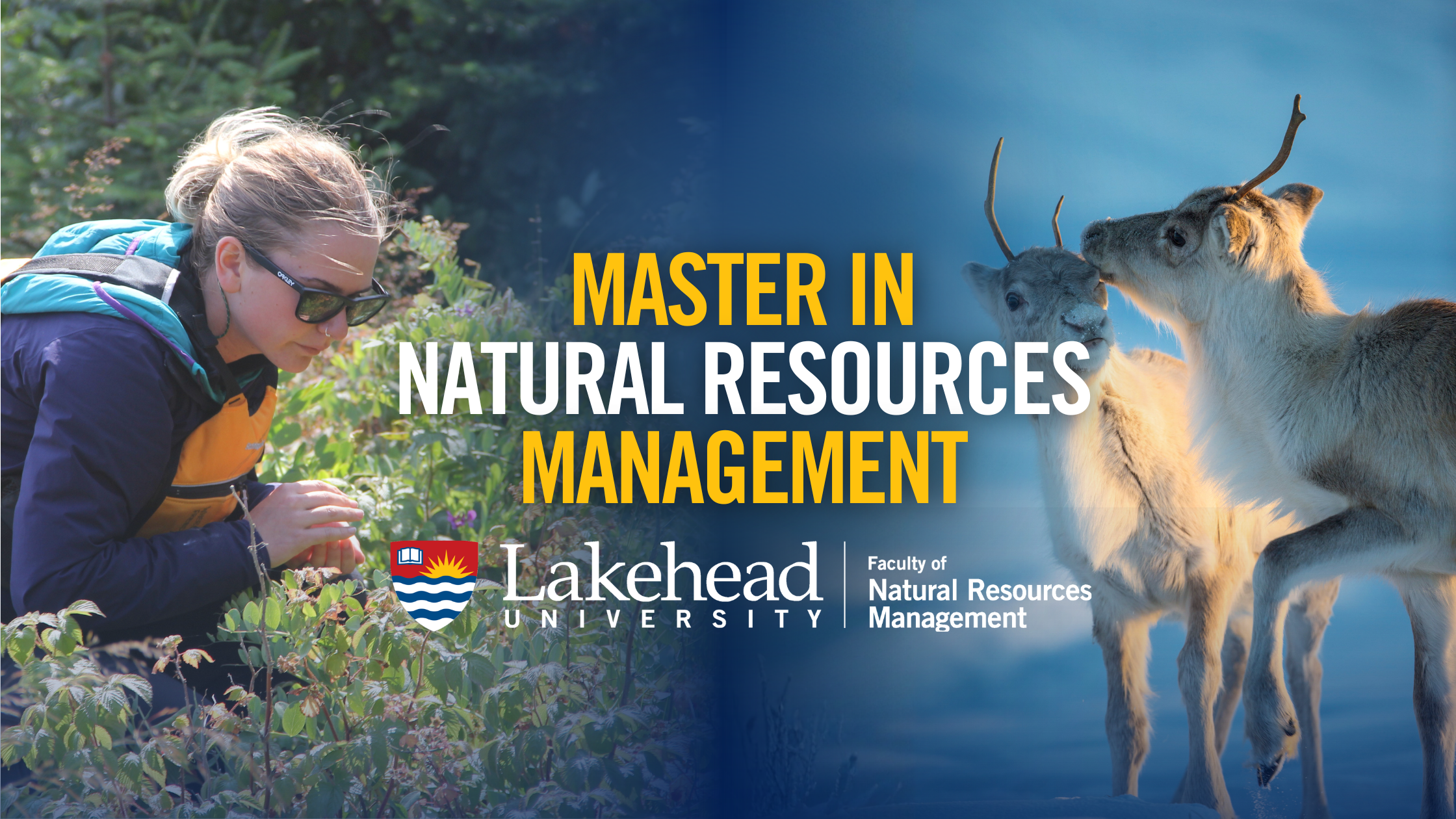 Master of NaturaL Resources Management