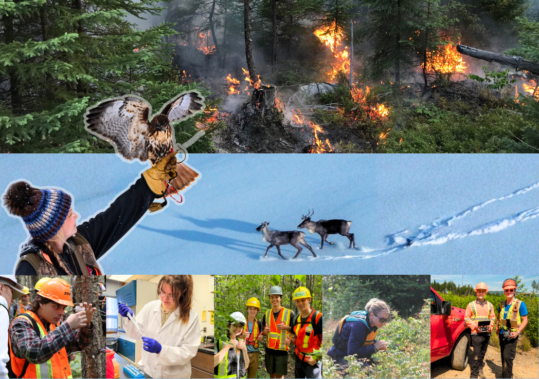 NaturaL Resources Management Faculty