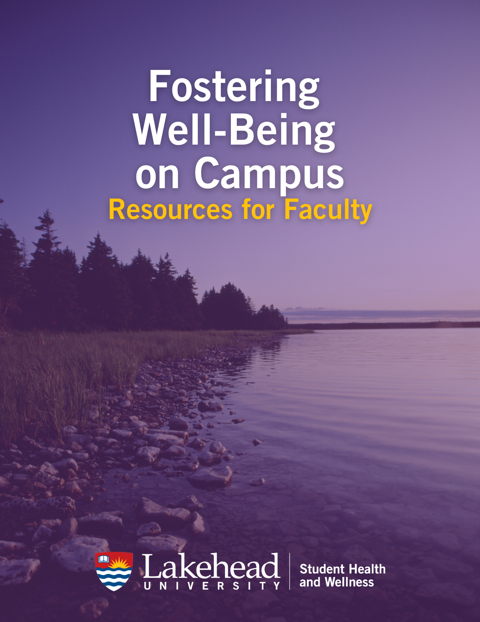 Fostering wellbeing on campus: Resources for Faculty