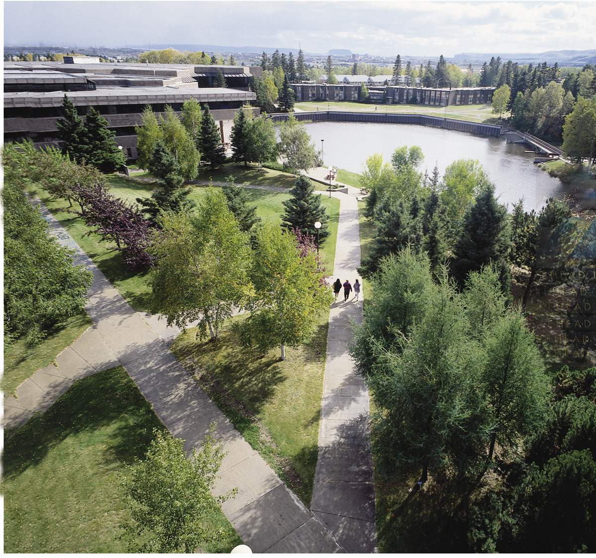 A photo on tbay campus