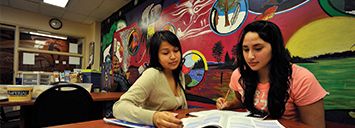 Students studying in the Aboriginal Resource Centre & Lounge 