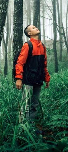 Students in the nature