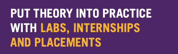 put theory into practice with labs, internships, and placements
