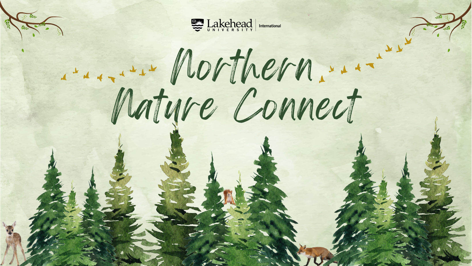 Northern Nature Connect Title surrounded by trees and animals.