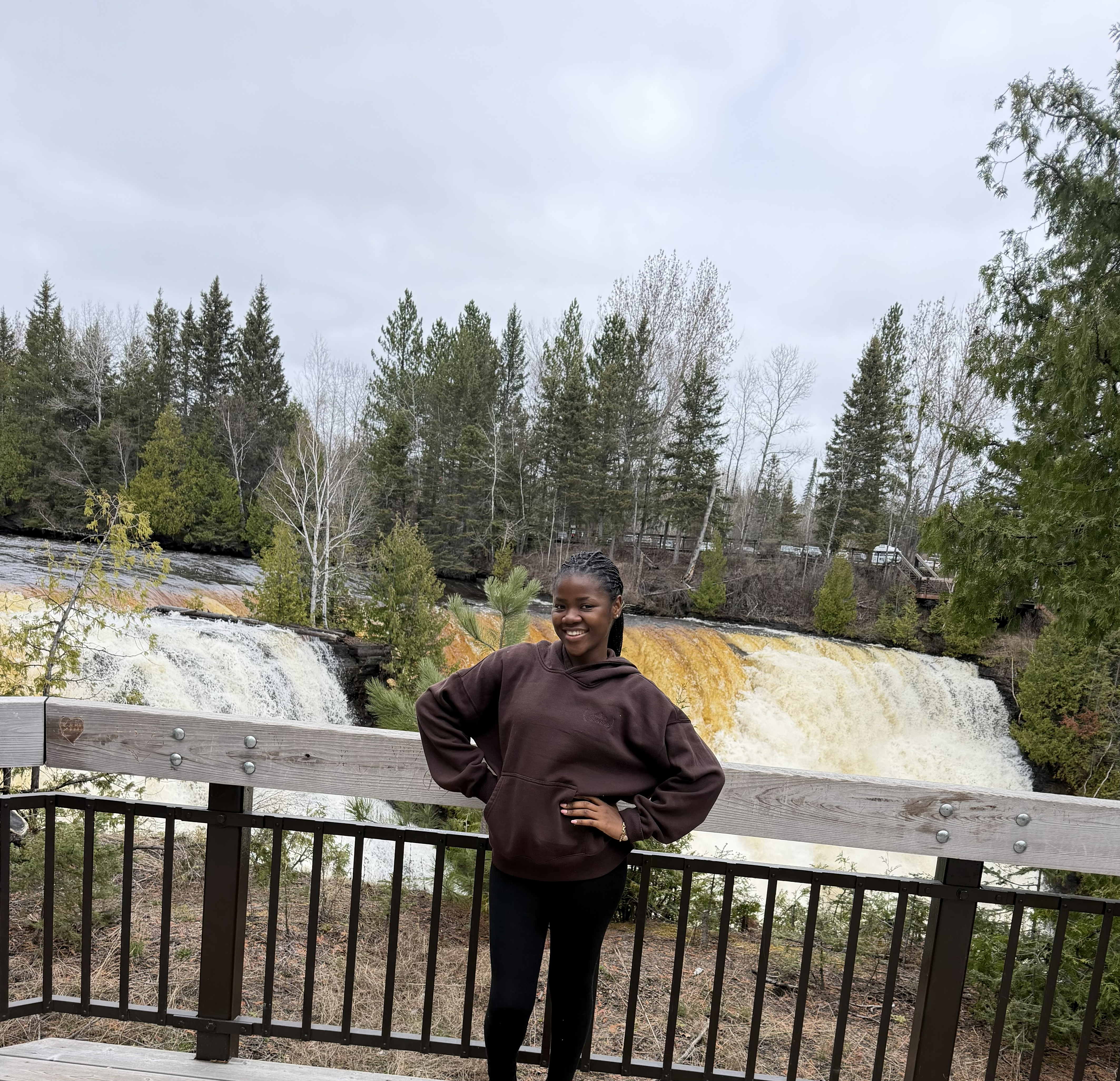 Course-based MSc student Toyin Adelerin