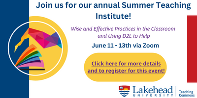 Join us for our annual Summer Teaching Institute