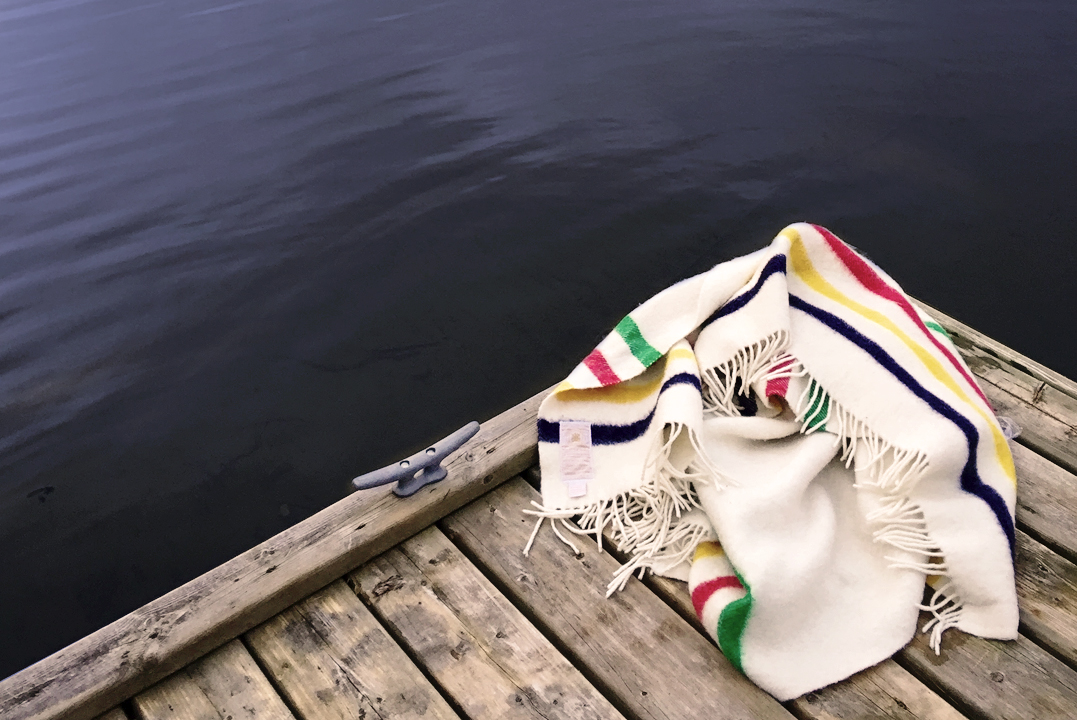 Baby Geese and family on Campus